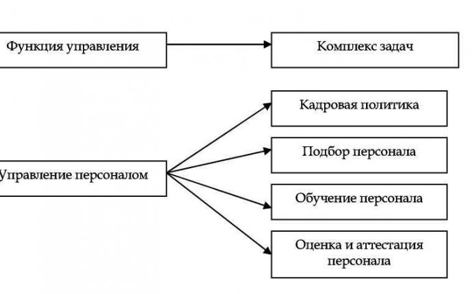 3.2 Функциональная структура системы управления персоналом