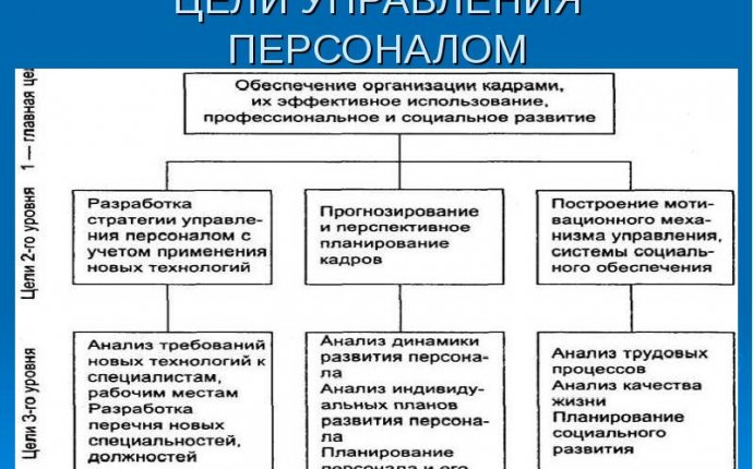 Функции управления персоналом организации: основные функции