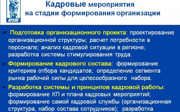 Кадровые мероприятия на стадии формирования организации