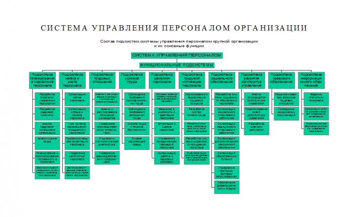 Лекция 2. Система управления персоналом организации