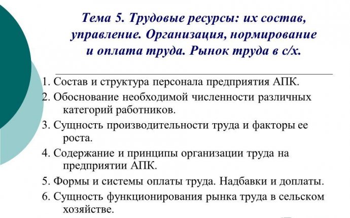 Презентация на тему: Тема 5. Трудовые ресурсы: их состав