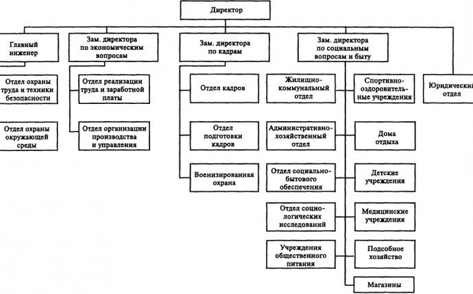 Схема сложившейся организационной структуры системы управления