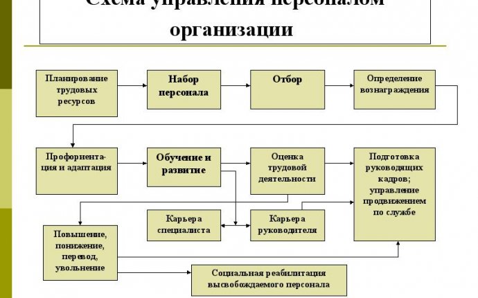 Управление персоналом: современный менеджмент по персоналу