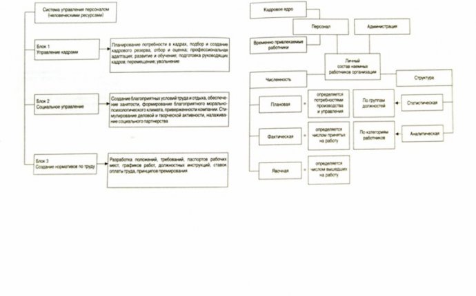 Управление персоналом в схемах Веснин В.Р