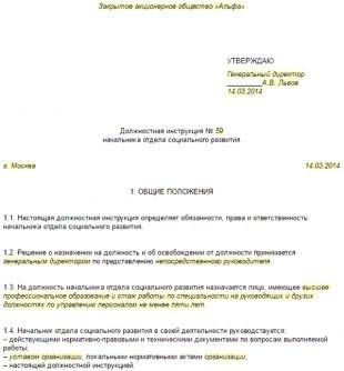 Должностная инструкция начальника отдела социального развития (общеотраслевая)