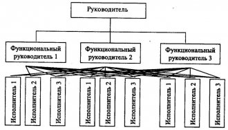 Функциональная структура управления