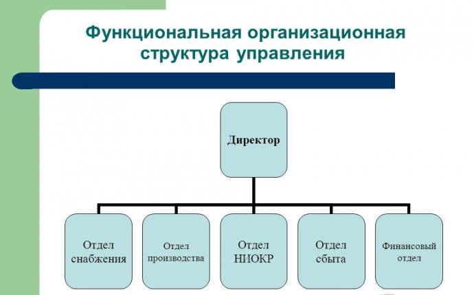 Функциональная Организационная Структура Управления Персоналом