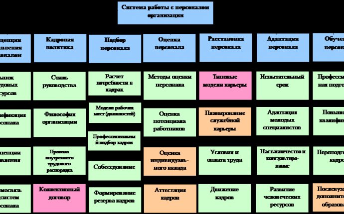 Структура Управления Персоналом в Организации
